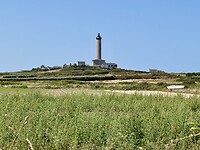 IMG_3248