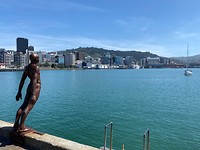 City tour door Wellington