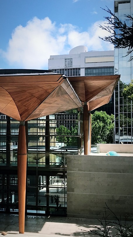 Art Galary Auckland