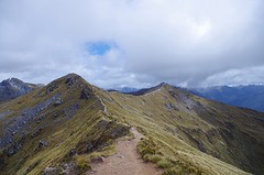 Kepler Track