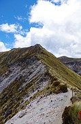 Kepler Track