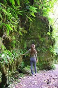 McLean Falls