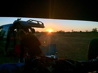 Zonsopgang in het weiland
