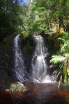 Stitt falls