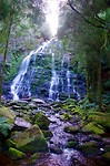 Nelson Falls