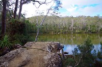 Mt Field Mational Park