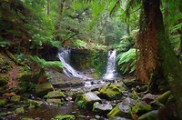 Horseshoe Falls