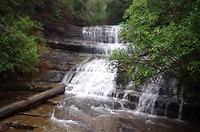 Lady Barron Falls