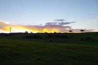 Weekend Wollongong