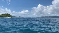 Bye bye Raja Ampat