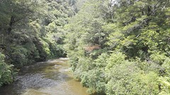 IMG_20161108_131242