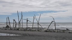 IMG_20161112_152500