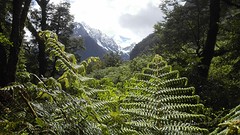 IMG_20161117_114007