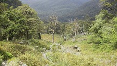 IMG_20161117_132706