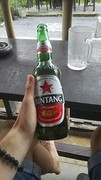 bintang biertje