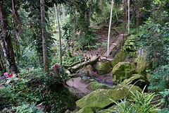 Ubud Monkey Forest