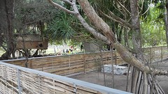 Hutje op Gili Air