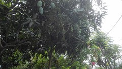 IMG_20161203_101523