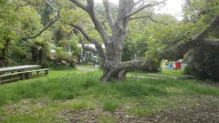 IMG_20161121_183033