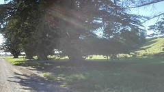 IMG_20161121_083052