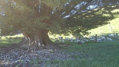 IMG_20161121_083043
