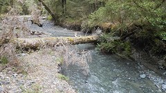 IMG_20161116_184005