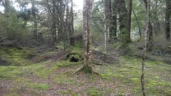 IMG_20161116_183839