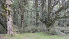 IMG_20161116_173011