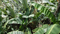 IMG_20161213_123949