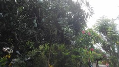 IMG_20161203_101529