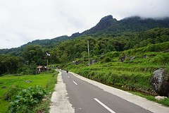 Toraja gebied