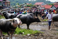 Bolu markt