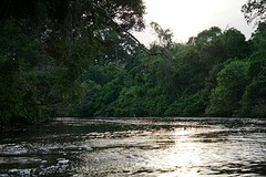 Klias Wetlands