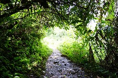 Begin van de 'jungle tocht' naar de waterval toe