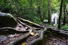 Veel kleinere waterval onderweg