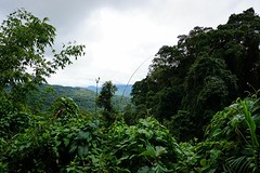 Uitzicht op het Kinabalu natuurgebied