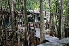 Uncle Tan camp
