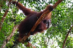 IMG-20170124-WA0010