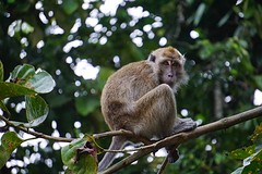 IMG-20170124-WA0017