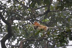 IMG-20170124-WA0018