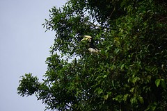 IMG-20170124-WA0004