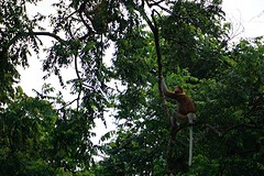 IMG-20170124-WA0002