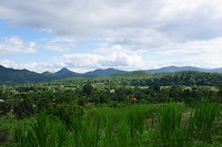 DSC06770
