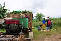 Ananas plantage Hsipaw