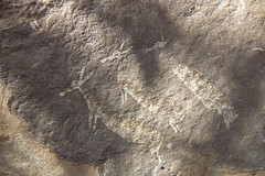 Bushmans paintings