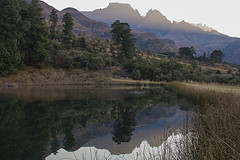 Drakensbergen