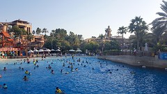 wild wadi