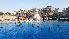 wild wadi