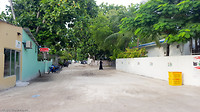 local island