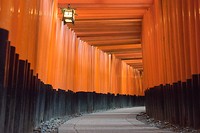 een deel van de 10.000 Torii